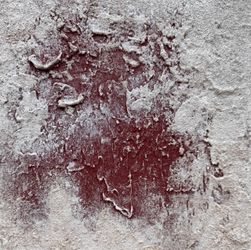 Большая Мудрость маленького Плутона