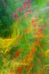 Из серии "Исчезнуть, замолчать, услышать"