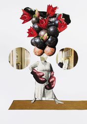 Перелетные птицы