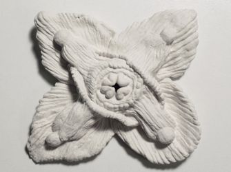 Epimedium (Цветок эльфов)