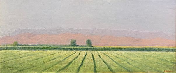 Пейзаж с полем