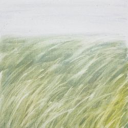 Травы 260201-2. Абстракция