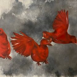 Красные птицы