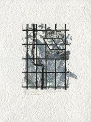 Теплица №1. Состояние мятный