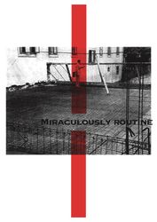 Из серии "Miraculously Routine"