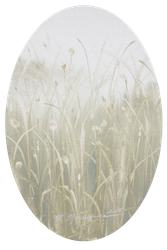 Травы 251201-01