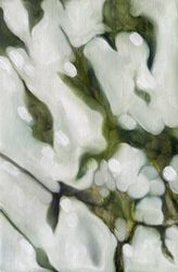 Частичка дня