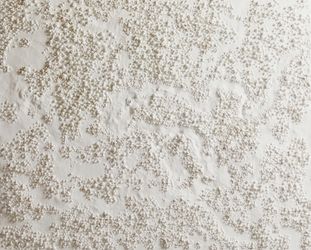 Точка зрения (белая)