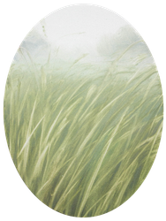 Травы 260203-2. Движение