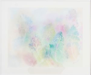 Коралловые деревья