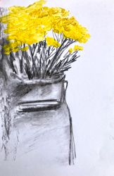 Пижмографика 1