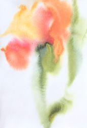 Движение (3.8)