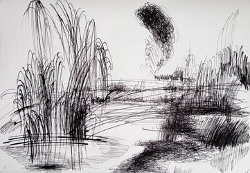 Абсолютное поле 16