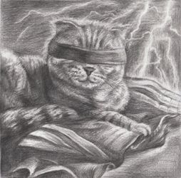 Крутой котик