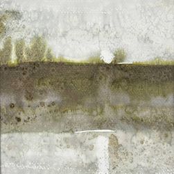 После дождя II