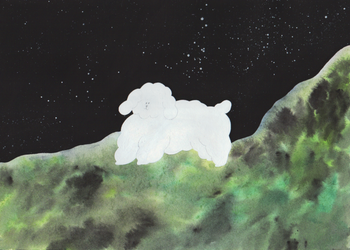 Прогулка ночью