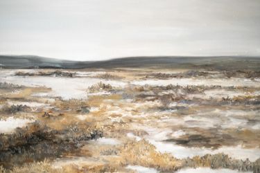 Родные просторы