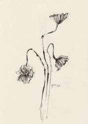 Fleur 08
