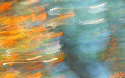 Из серии "Исчезнуть, замолчать, услышать"