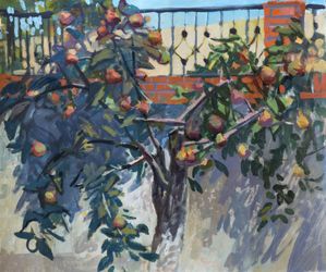 Груша дичка