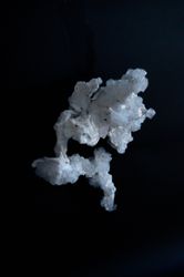 Цветок / Объект №5