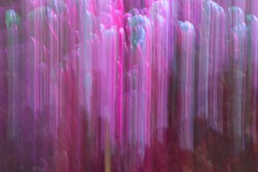 Из серии "Исчезнуть, замолчать, услышать"