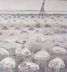 Камни, море, туман...