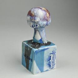 Плодовое тело #10 (паутинник)