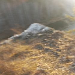 "ПРОСТРАНСТВО ТИШИНЫ" из проекта "Исчезнуть, замолчать, услышать"