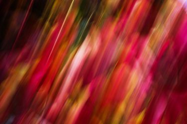 Из серии "Исчезнуть, замолчать, услышать"