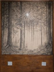 В поисках звезды. Проявилась