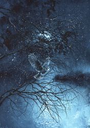 Ночной дозор