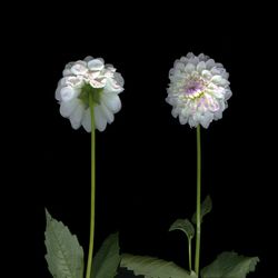 Я с тобой разговариваю. Диалог 3