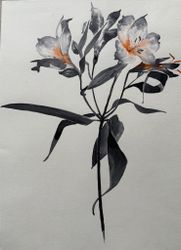 Цветы на день рождения