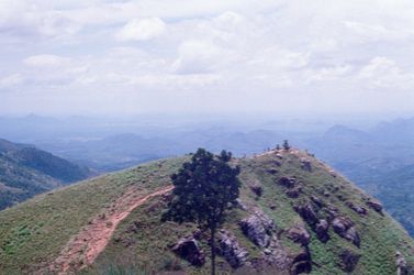 Sri Lanka Nuwara Eliya | Шри-Ланка Нувара-Элия