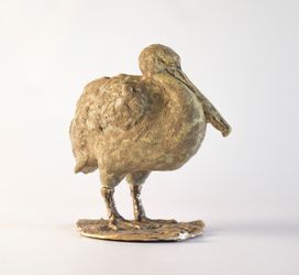 Пеликан