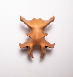 Без названия