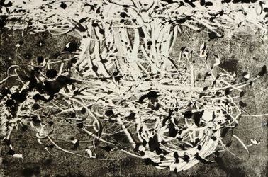 Вихрь жизни