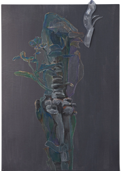 Limb