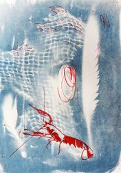 Лангустин "Non existente", пойманный в Финском заливе