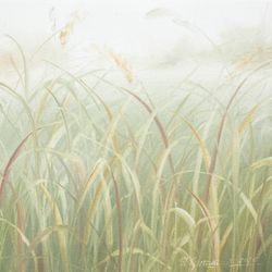 Разные травинки