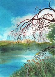 Иволга у реки