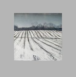 Winter field