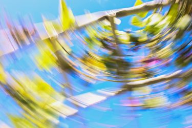 Из серии "Исчезнуть, замолчать, услышать"