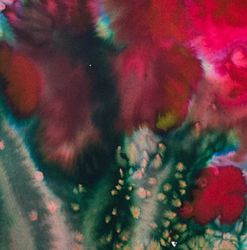 Красные цветы