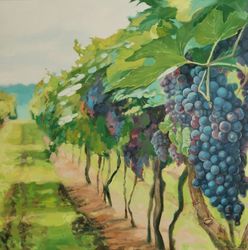 Виноградное изобилие