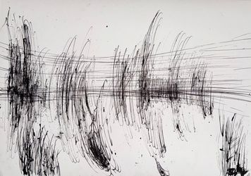 Абсолютное поле 4