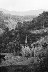 Valley