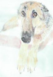 Что-то потеряли?