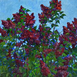 Ветки сирени